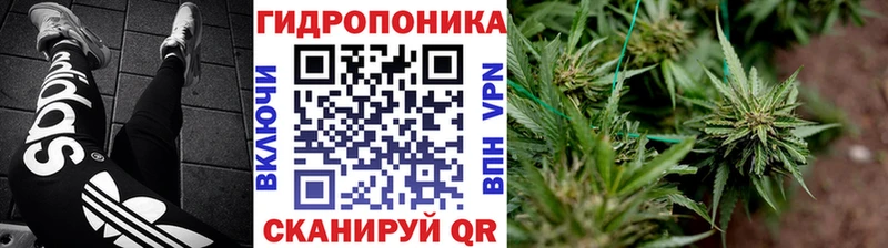 Шишки марихуана конопля  Новое Девяткино 